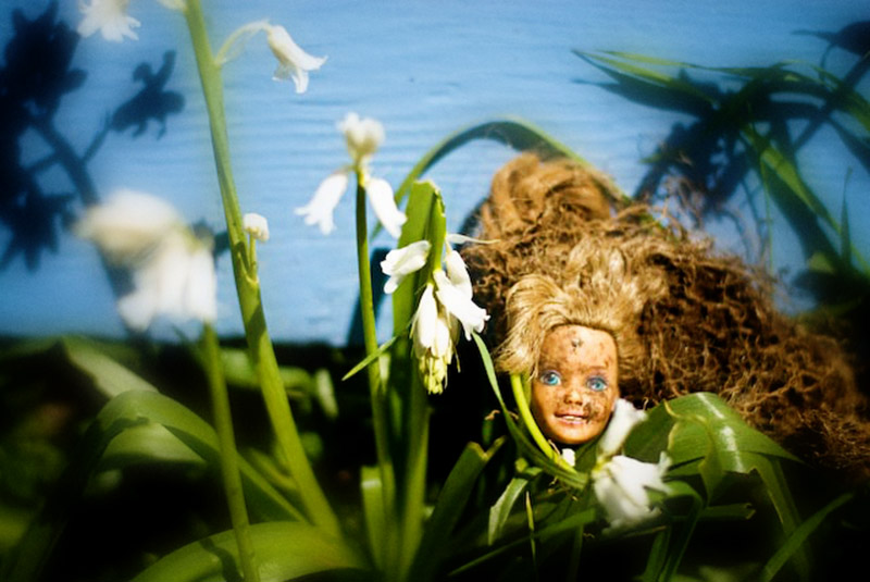A dirty Barbie doll head, recently dug up from the garden is displayed in front of a bright blue house, nestled in greens and white flowers.