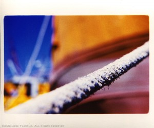 A cross process image of a worn, old rope in a boatyard outside Puerto Madryn, Argentina. Blue sky and colorful boats in the background.