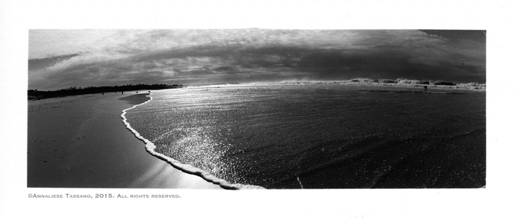 A black and white panorama of Asilomar Beach in Pacific Grove, Monterey, California.
