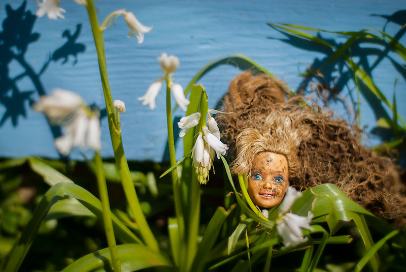 A dirty Barbie doll head, recently dug up from the garden is displayed in front of a bright blue house, nestled in green grass and white flowers.