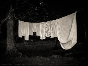 Kitchen towels and a sheet dry on a line tied up in the trees in County Claire, Ireland.