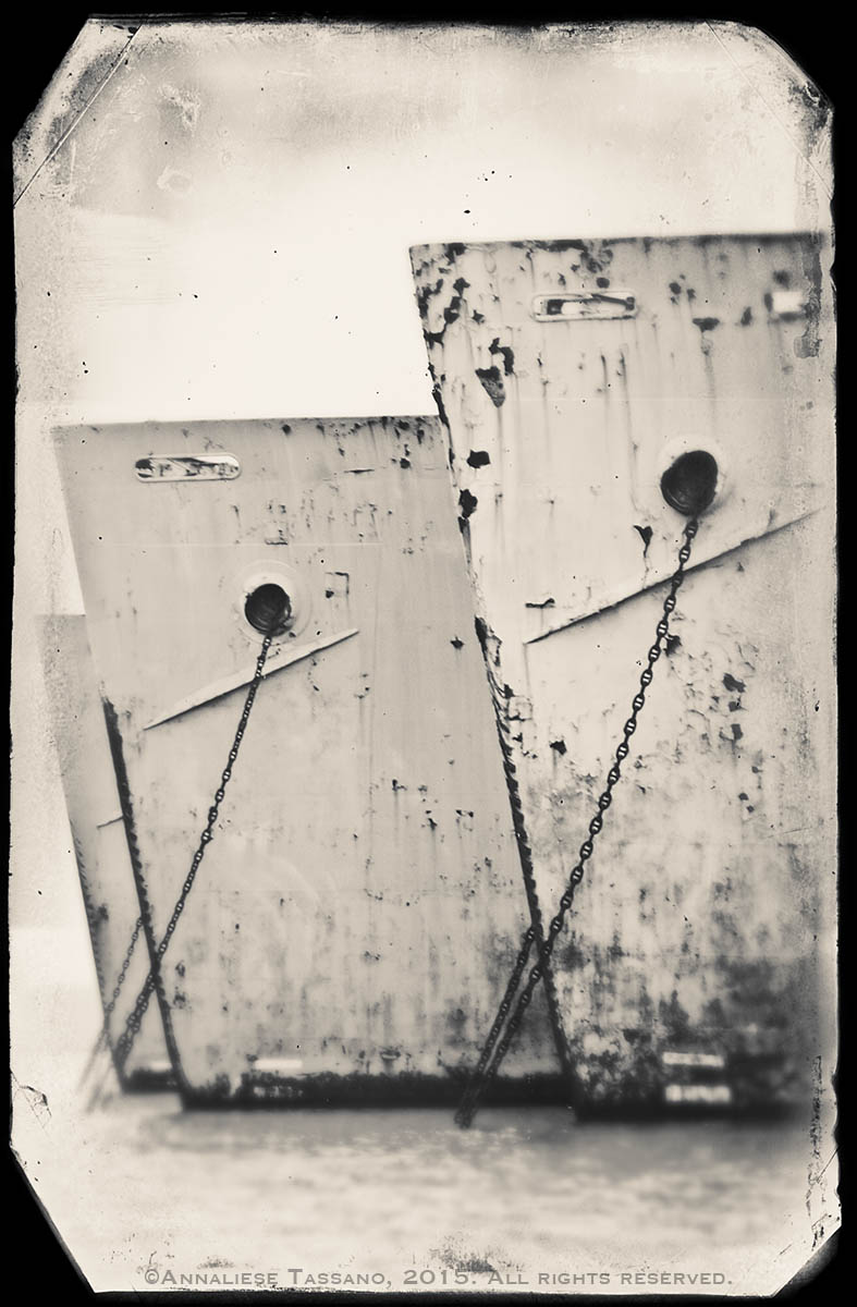 The rusting bows of three World War II Liberty Ships, at anchor in Suisan Bay, before the removal of the Naval Reserve FLeet there.
