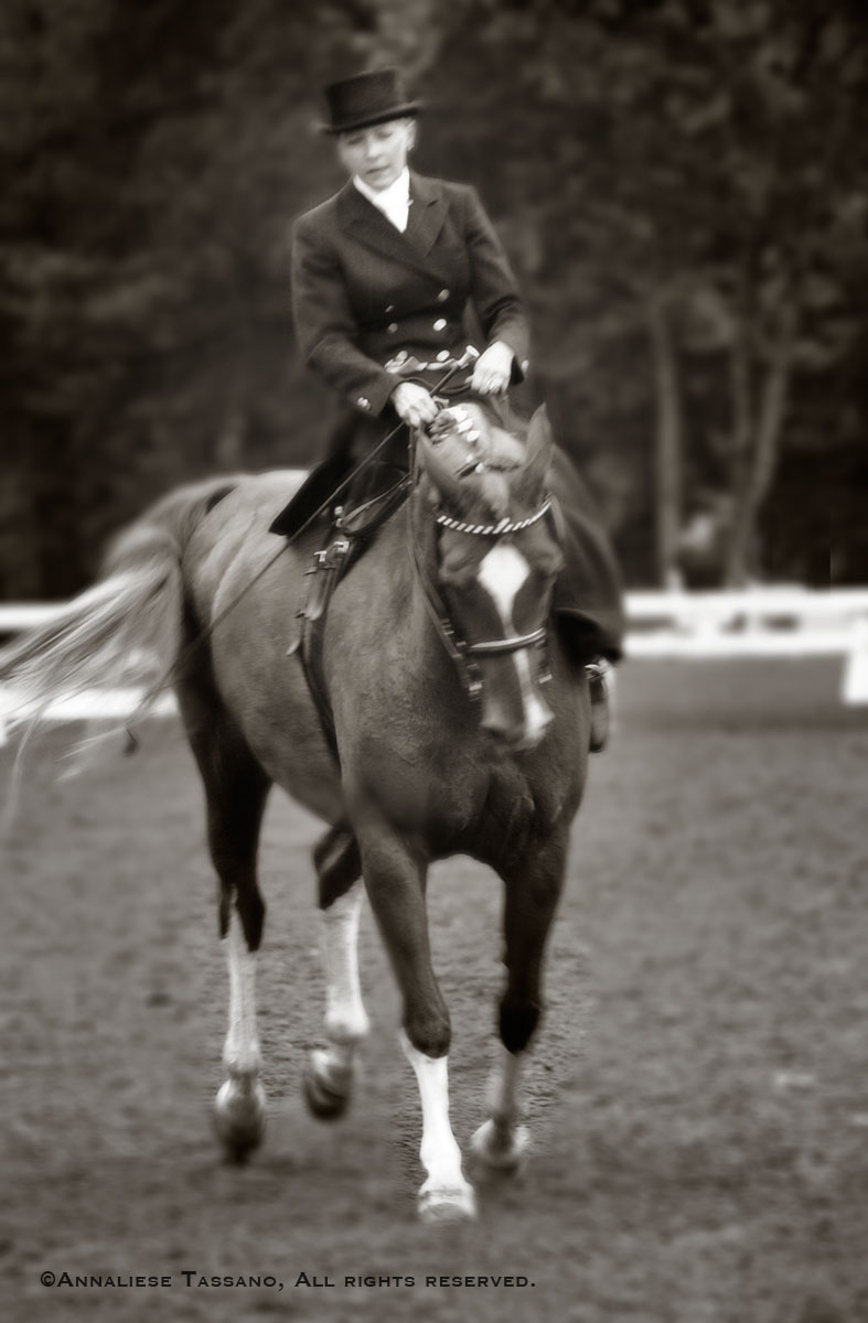 An antiqued image of a woman in a full habit and tophat riding a chesnut warmblood horse side saddle.