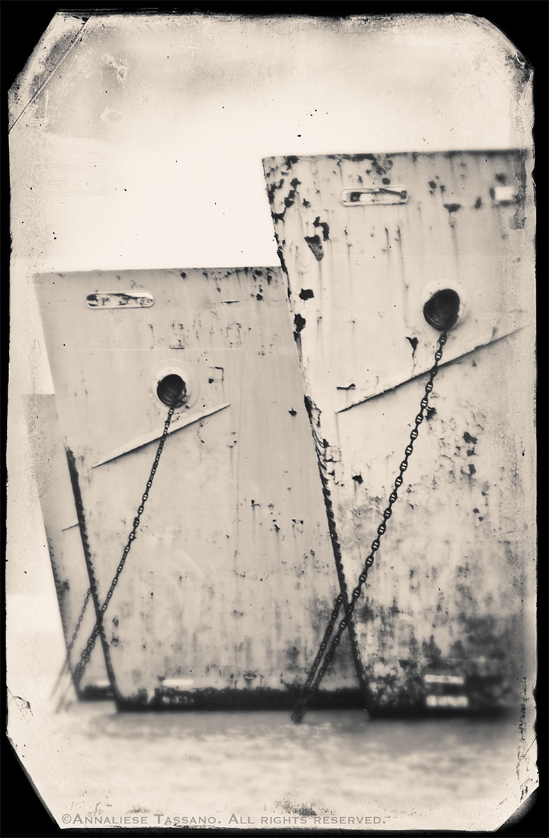 The rusting bows of three World War II Liberty Ships, at anchor in Suisan Bay, before the removal of the Naval Reserve Fleet there.